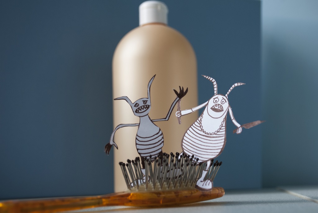 Best Home Remedies for Head Lice LiceDoctors